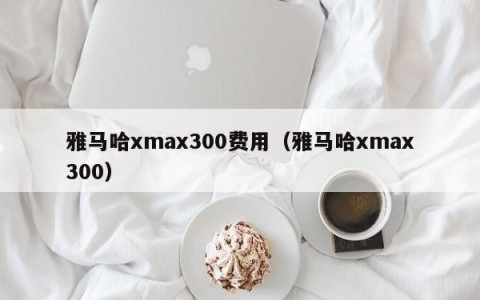 雅马哈xmax300费用（雅马哈xmax300）