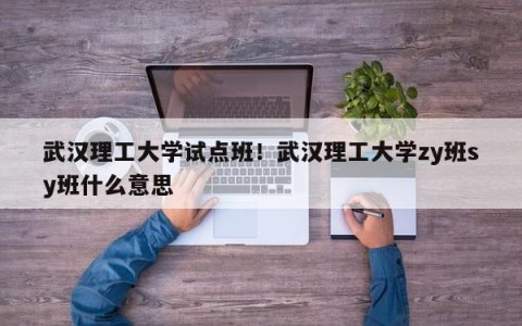 武汉理工大学试点班！武汉理工大学zy班sy班什么意思