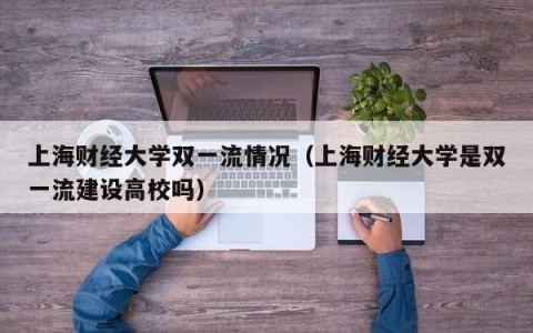 上海财经大学双一流情况（上海财经大学是双一流建设高校吗）