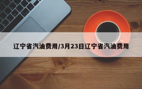 辽宁省汽油费用/3月23日辽宁省汽油费用