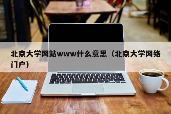 北京大学网站www什么意思(北京大学网络门户)