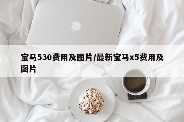 宝马530费用及图片/最新宝马x5费用及图片